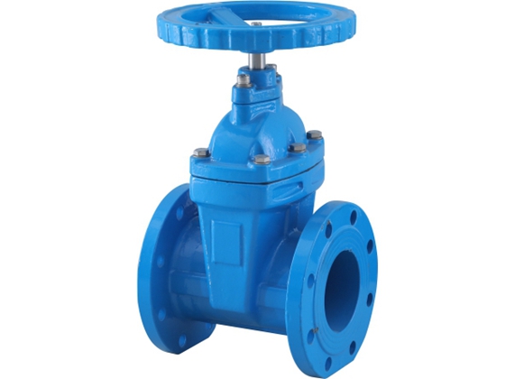 Elastic Seated Gate Valve 1