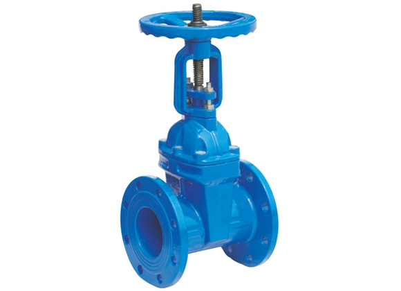 Elastic Seated Gate Valve 2