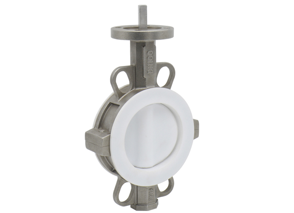PTFE butterfly valve2 bkvalve