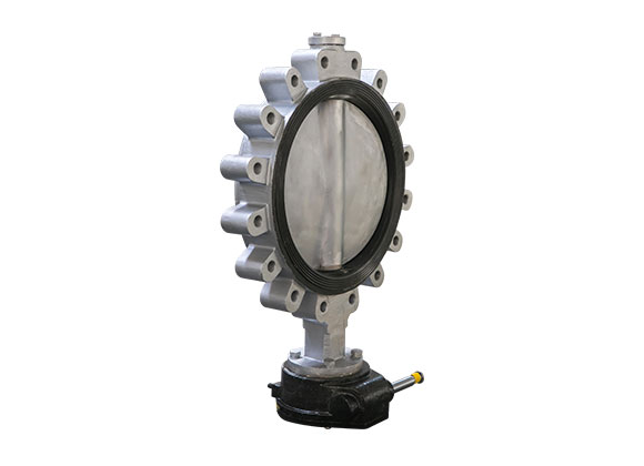 SS316 Lug Type Butterfly Valve