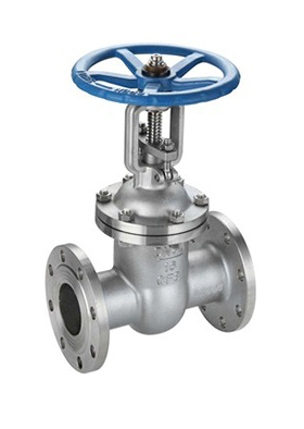 gate valve 1